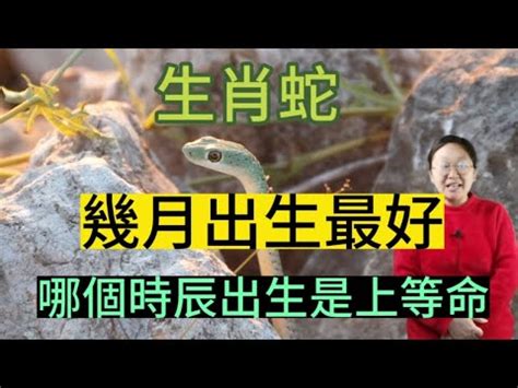 屬蛇幾月生好|屬蛇最旺月份公開